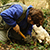 miniatura della riserva naturale di tartufo bianco pregiato (tuber magnatum pico)